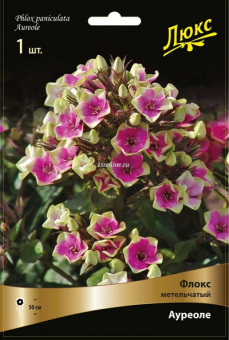 Изображение загружено обработкой по данным файла Excel