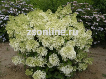 Изображение загружено обработкой по данным файла Excel