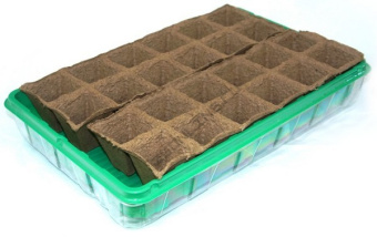 81531554_16757600011