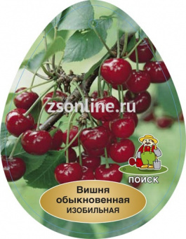 Изображение загружено обработкой по данным файла Excel