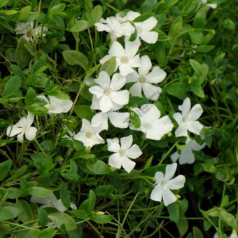 Изображение загружено обработкой по данным файла Excel