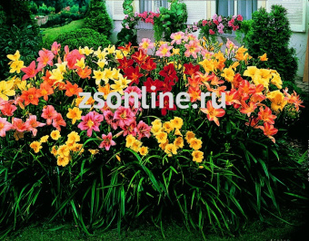 Изображение загружено обработкой по данным файла Excel