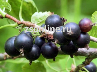 Изображение загружено обработкой по данным файла Excel