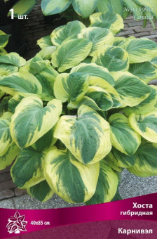 Изображение загружено обработкой по данным файла Excel