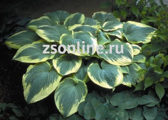 Изображение загружено обработкой по данным файла Excel