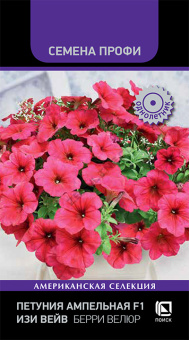 Петуния ампельная F1 Изи Вейв Берри Велюр (Семена Профи) (ЦВ) ("1) 5 шт