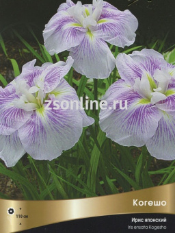 Изображение загружено обработкой по данным файла Excel