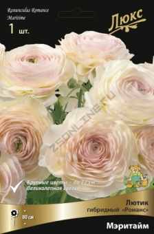 Лютик гибридный Романс Мэритайм*/К