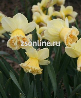 Изображение загружено обработкой по данным файла Excel