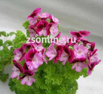 Изображение загружено обработкой по данным файла Excel