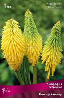 Изображение загружено обработкой по данным файла Excel