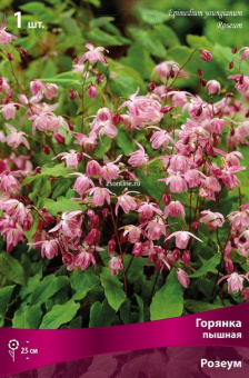 Изображение загружено обработкой по данным файла Excel