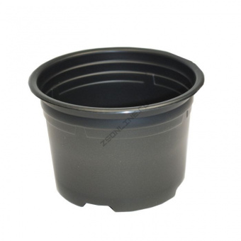 975899ea44bb25ddfd714031f69160d8