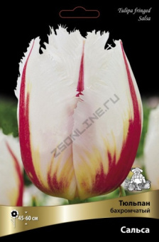 Тюльпан бахромчатый Сальса 12+/К 5шт