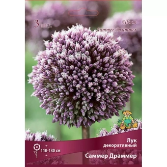 Лук декоративный Саммер Драммер 10-12/К 3шт