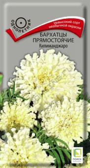 barhatsy_pryamost_kilimanjaro