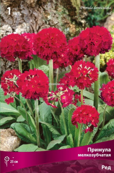 Изображение загружено обработкой по данным файла Excel