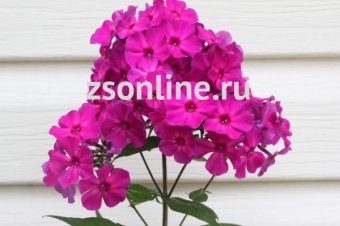 Изображение загружено обработкой по данным файла Excel