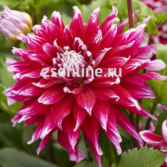 Изображение загружено обработкой по данным файла Excel