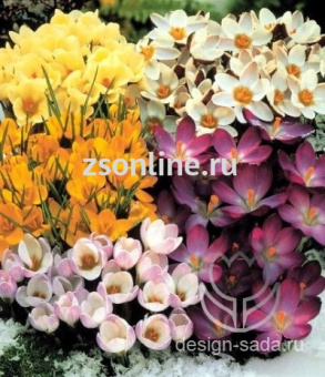 Изображение загружено обработкой по данным файла Excel