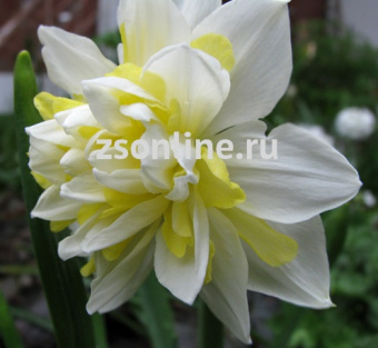 Изображение загружено обработкой по данным файла Excel