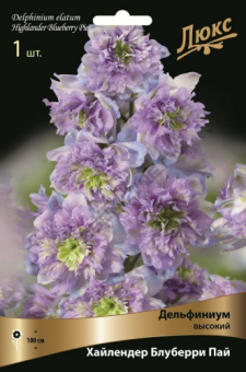 Дельфиниум высокий Хайлендер Блуберри Пай, 1 шт