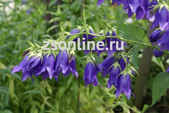 Изображение загружено обработкой по данным файла Excel