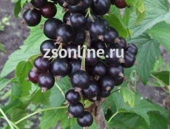 Изображение загружено обработкой по данным файла Excel