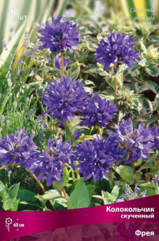 Изображение загружено обработкой по данным файла Excel