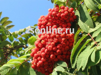 Изображение загружено обработкой по данным файла Excel