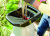 izmelchitelelektricheskiyALKOEASYCRUSHMH2809