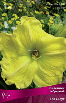 Изображение загружено обработкой по данным файла Excel