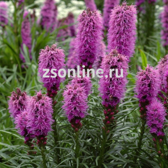 Изображение загружено обработкой по данным файла Excel