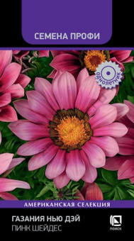 gazania_new_day_pink_shades