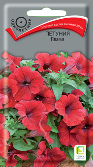 Петуния Пламя