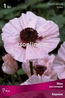 Изображение загружено обработкой по данным файла Excel