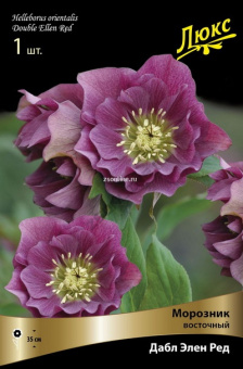 Изображение загружено обработкой по данным файла Excel