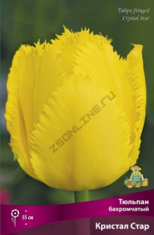 Тюльпан Бахромчатый Кристал Стар, жёлтый, 10 шт