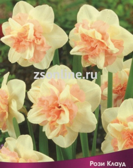 Изображение загружено обработкой по данным файла Excel