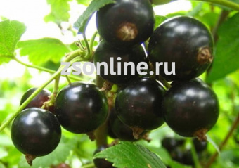 Изображение загружено обработкой по данным файла Excel