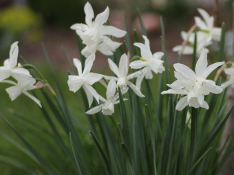 a078501b0b45a20066c379e84b7eb7a5--thalia-moodboard