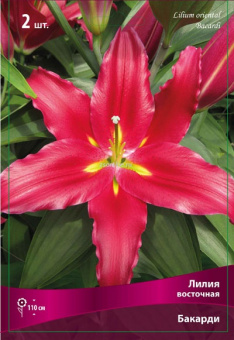 Изображение загружено обработкой по данным файла Excel