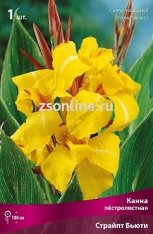 Изображение загружено обработкой по данным файла Excel