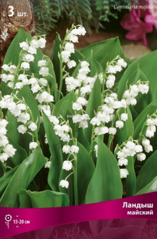 Изображение загружено обработкой по данным файла Excel