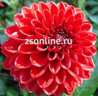 Изображение загружено обработкой по данным файла Excel