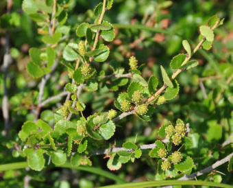 201084_54e9794b