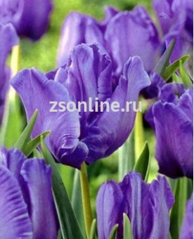 Изображение загружено обработкой по данным файла Excel