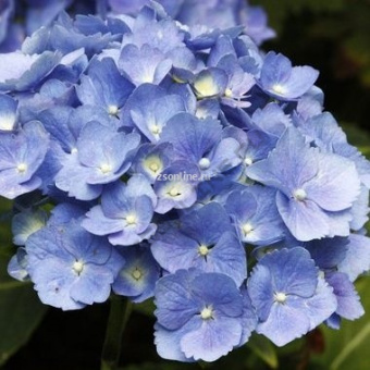 Изображение загружено обработкой по данным файла Excel