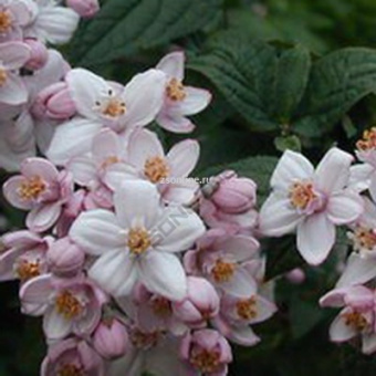 Изображение загружено обработкой по данным файла Excel