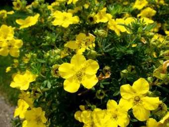 fef7176910f4722e1a1fc9361203c02c